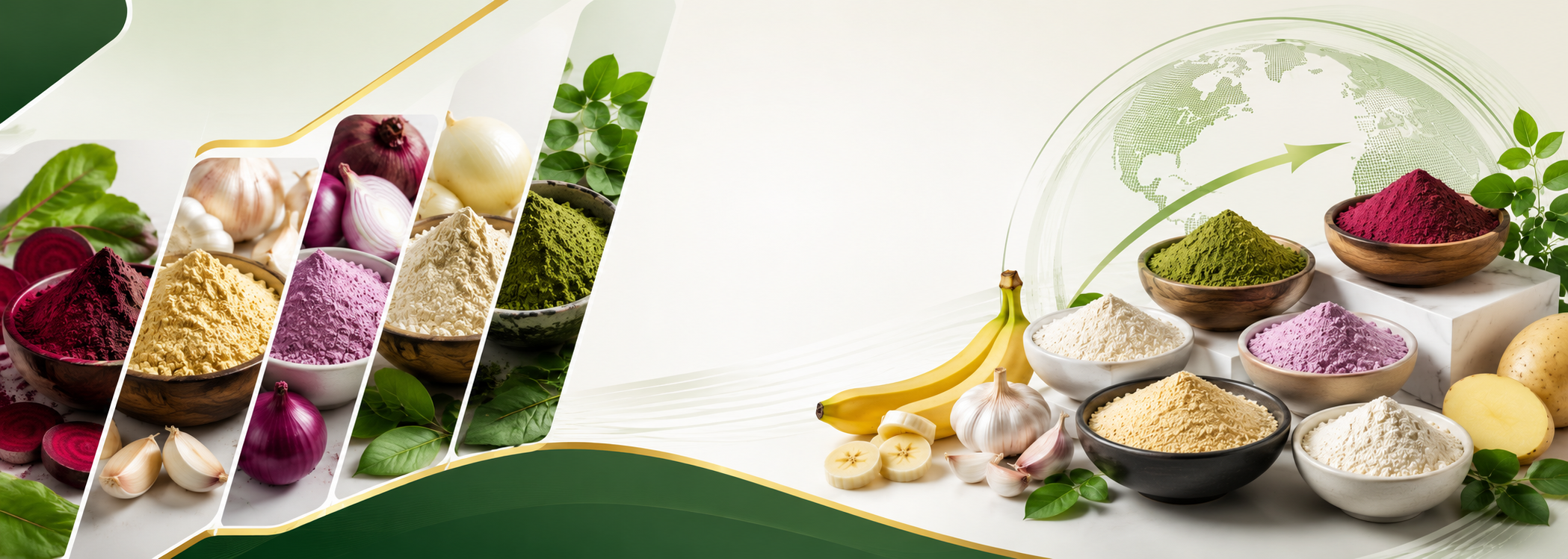 Vegetable Powder Exporter India
